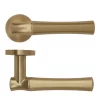 Aldo Lever On Round Rose Door Handle