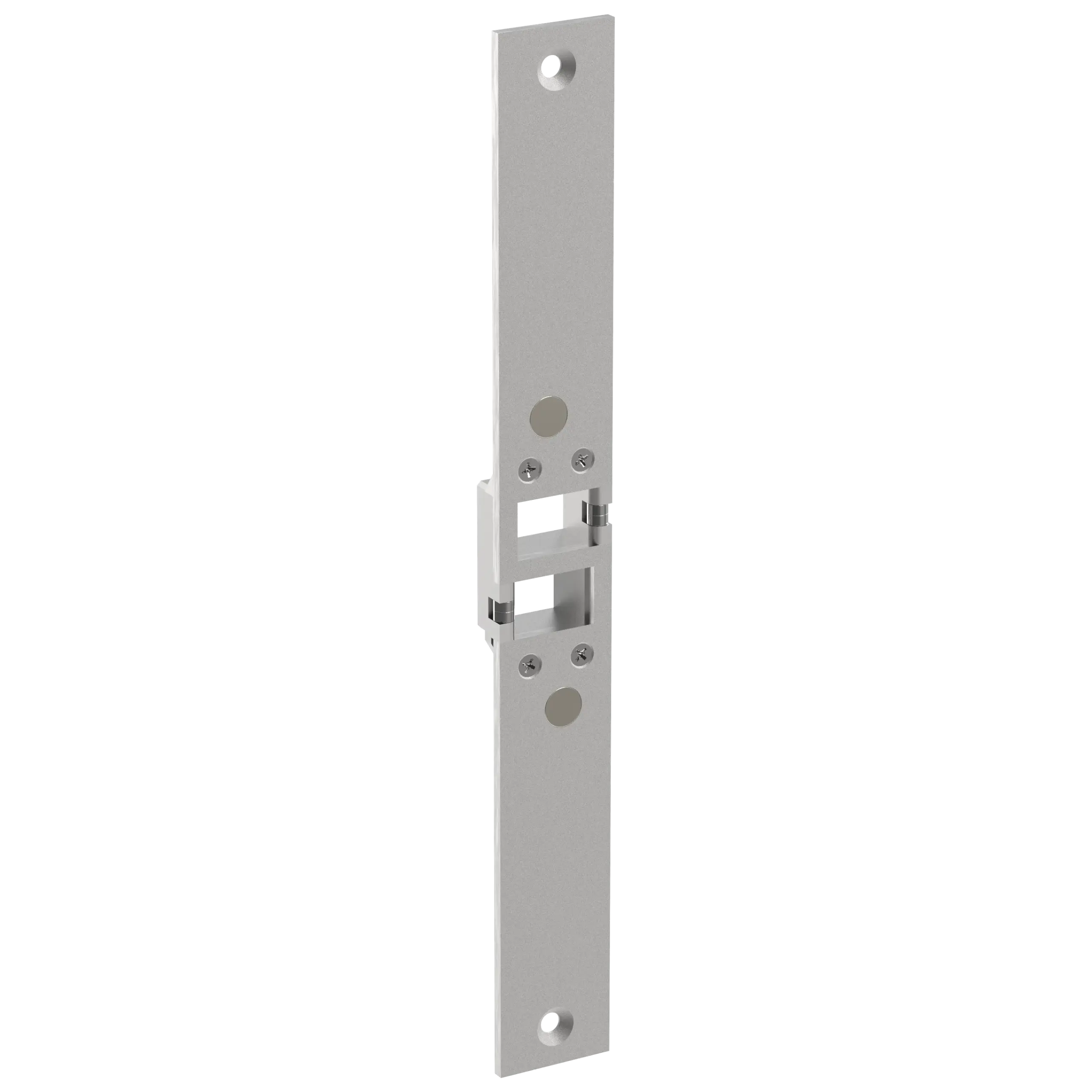 SL30 DBL Accessories Strike Plate