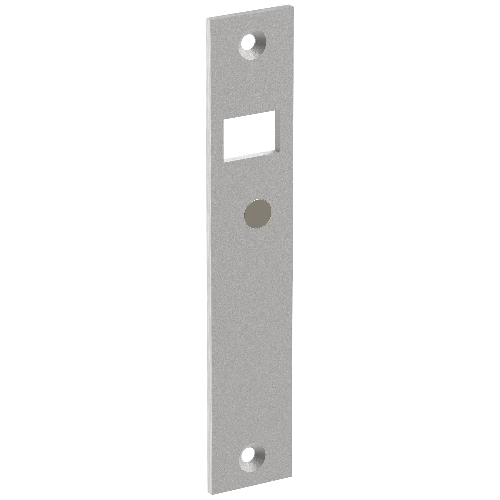 SL30 SGL Accessories Strike Plate