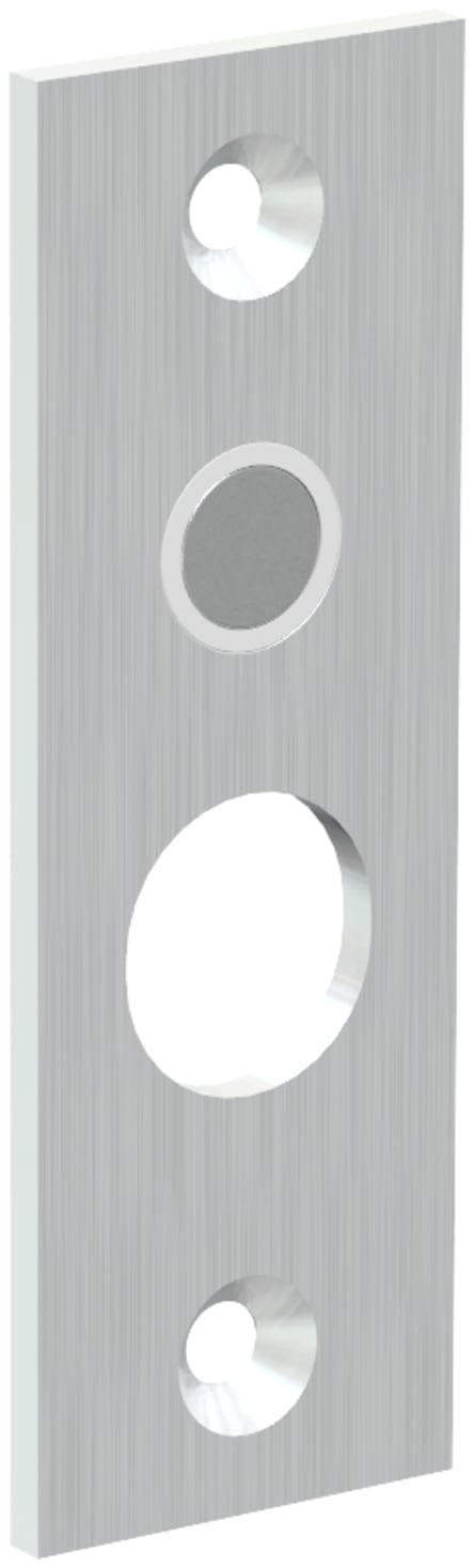 Short Strike Plate for DB38