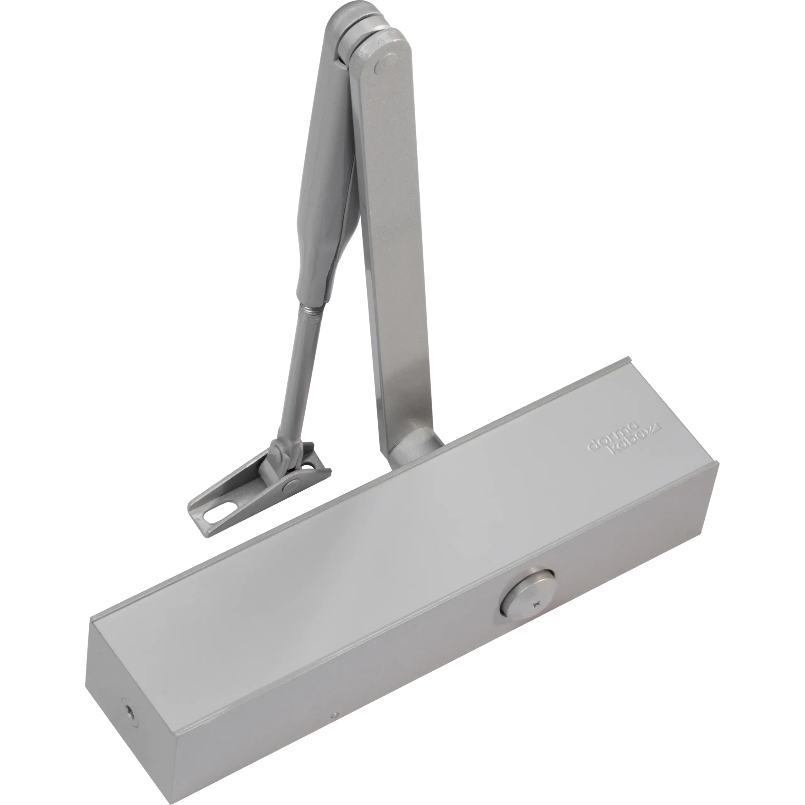 TS 83 BC Door Closer Anti Corrosive
